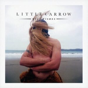 littlearrowwmp-300x300
